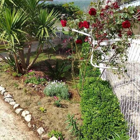 Guesthouse Djurisic Herceg Novi Exterior photo